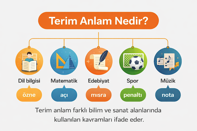 terim anlam örnekleri ve kullanım alanları