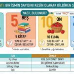 Asıl sayı sıfatını anlatan öğrenci ve tahtada üç öğrenci, beş kitap örneklerinin yer aldığı eğitim görseli