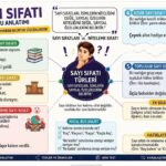Sayı sıfatı nedir, türleri nelerdir ve örneklerle konu anlatımı. Asıl sayı sıfatı, sıra sayı sıfatı, üleştirme sayı sıfatı, kesir ve topluluk sayı sıfatlarını açıklayan eğitim infografiği."