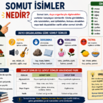 Somut isim nedir? Duyu organlarıyla algılanabilen varlıkları ve somut isim örneklerini gösteren konu anlatımı görseli.