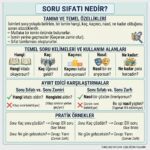 Soru sıfatı nedir, temel özellikleri nelerdir ve örnek cümlelerle konu anlatımı. Soru sıfatının soru zamiri ve soru zarfı ile farklarını açıklayan eğitim görseli.