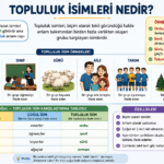 Topluluk isimleri konu anlatımı, özellikleri ve örnekleri