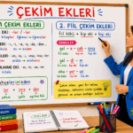 Çekim ekleri, isim çekim ekleri ve fiil çekim eklerini örneklerle anlatan Türkçe öğretmeni