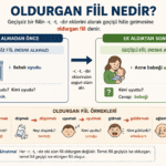 Oldurgan fiilin geçişsiz fiilden geçişli fiile dönüşümünü ve örneklerini gösteren eğitim görseli